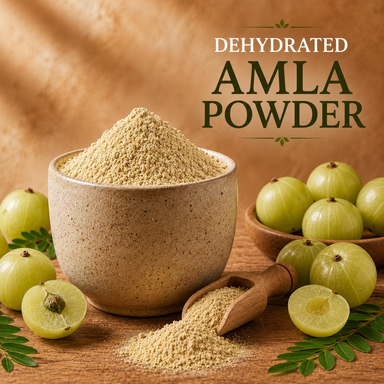 Dehydrated Amla Powder